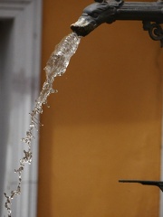 2019-VII-Rudolstadt-TFF-Sommer 35