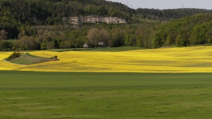 FS11s 22-5-12 Hetschburg Buchfahrt  10