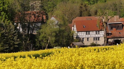 FS11s 22-5-12 Hetschburg Buchfahrt  58