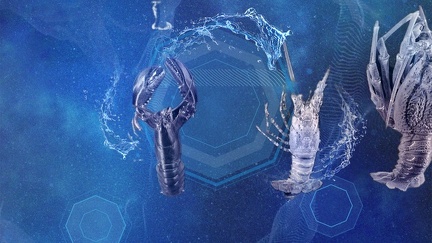 2022 X D WI   25