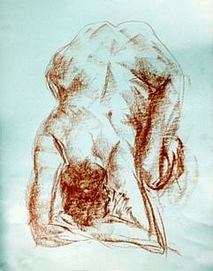 Akt-Zeichnung  - nude - drawings