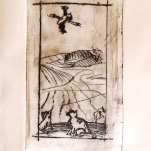 Die Katze und die Drohne ( cat and sluggard)