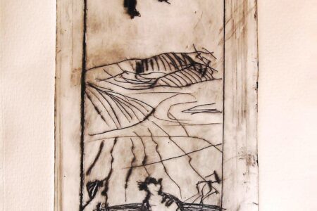 Die Katze und die Drohne ( cat and sluggard)