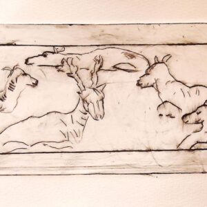 Rehlage( laying deers)