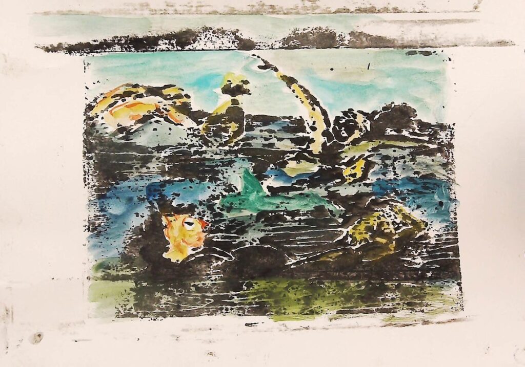 Schwimmer_4_Aquarell handkoloriert